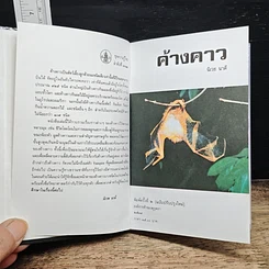 หนังสือ ค้างคาว รูปที่ 7