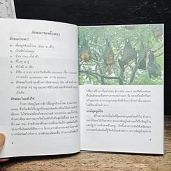 หนังสือ ค้างคาว รูปที่ 8