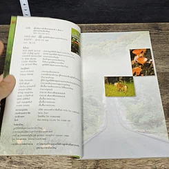หนังสือ คู่มือเส้นทางเดินศึกษาธรรมชาติ 5 เส้นทาง อุทยานแห่งชาติเขาใหญ่ รูปที่ 6
