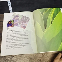 หนังสือ อีสานไทยสัปปายะ เจลสมุนไพรธรรมชาติ รูปที่ 8