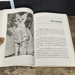 หนังสือ การเลี้ยงแมว รูปที่ 8