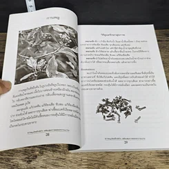 หนังสือ 97 สมุนไพรใกล้ตัว เสริมสุขภาพและความงาม รูปที่ 8