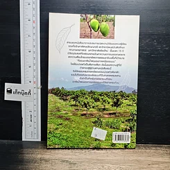 หนังสือ มะม่วงแก้ว รูปที่ 2