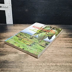 หนังสือ มะม่วงแก้ว รูปที่ 4
