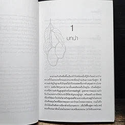 หนังสือ มะม่วงแก้ว รูปที่ 8