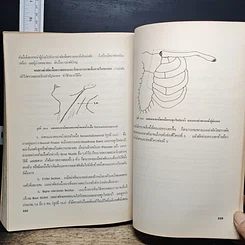 หนังสือ บาดเจ็บที่หน้าและคอ รูปที่ 12