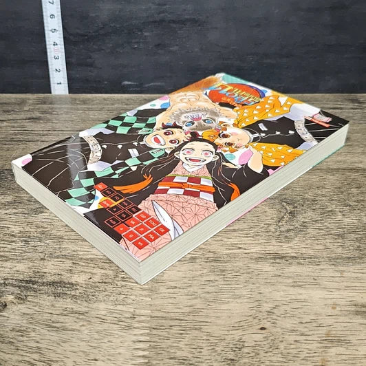 หนังสือ ดาบพิฆาตอสูร ฉบับนิยาย ตอน ผีเสื้อปีกเดียว รูปที่ 3