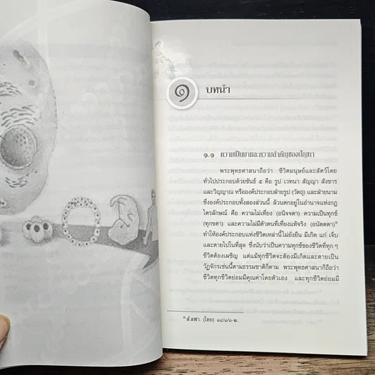 หนังสือ การศึกษาวิเคราะห์ปาณาติบาตในเซลล์มนุษย์และตัวอ่อนมนุษย์ รูปที่ 10