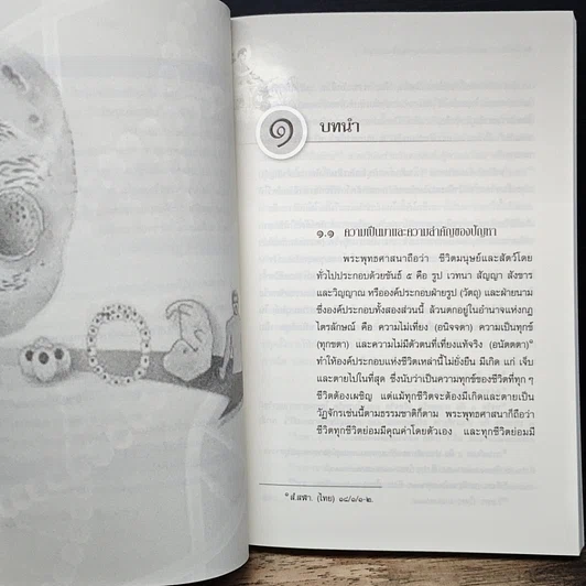 หนังสือ การศึกษาวิเคราะห์ปาณาติบาตในเซลล์มนุษย์และตัวอ่อนมนุษย์ รูปที่ 10