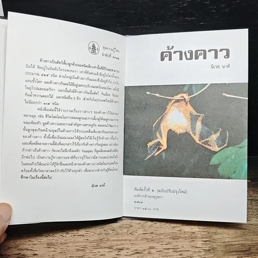 หนังสือ ค้างคาว รูปที่ 7