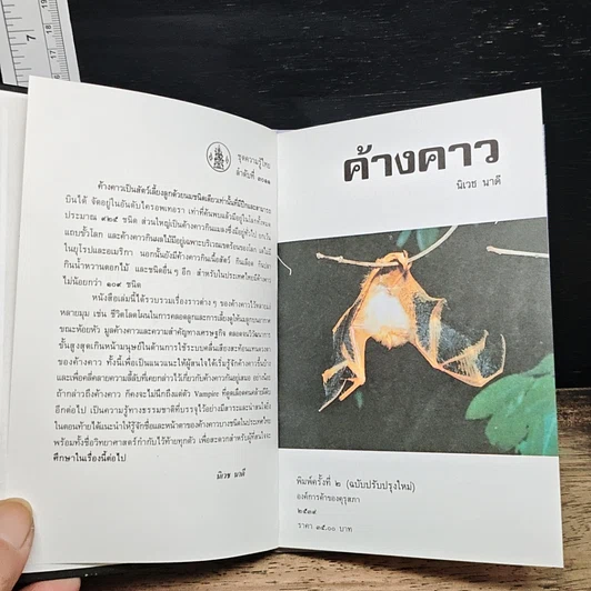 หนังสือ ค้างคาว รูปที่ 7