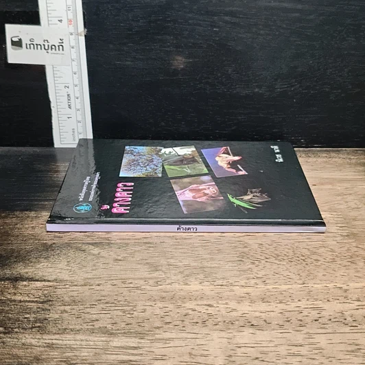 หนังสือ ค้างคาว รูปที่ 3