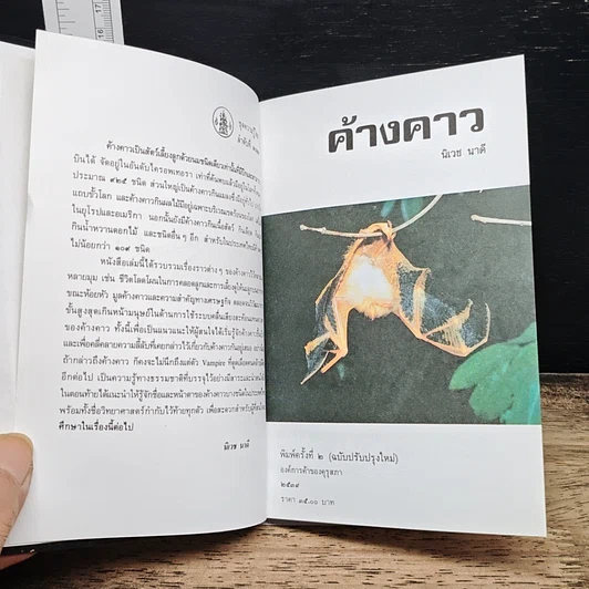 หนังสือ ค้างคาว รูปที่ 7