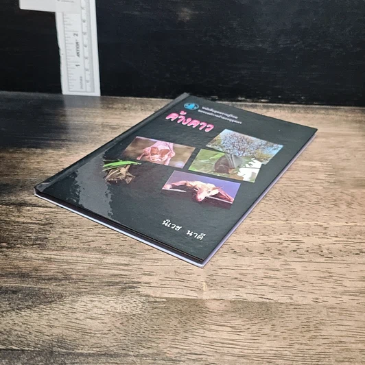 หนังสือ ค้างคาว รูปที่ 4