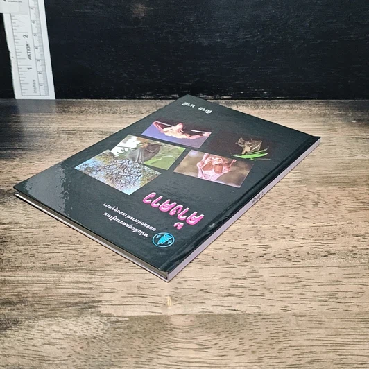 หนังสือ ค้างคาว รูปที่ 5