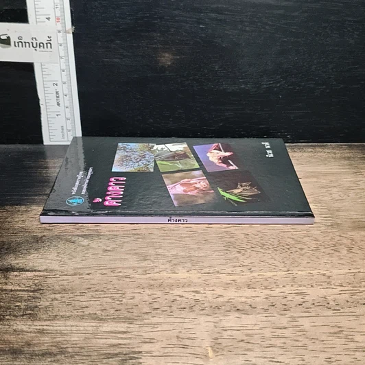 หนังสือ ค้างคาว รูปที่ 3