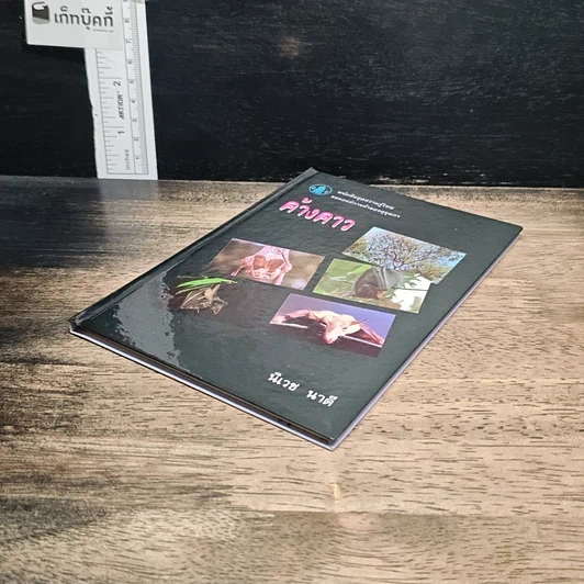 หนังสือ ค้างคาว รูปที่ 4