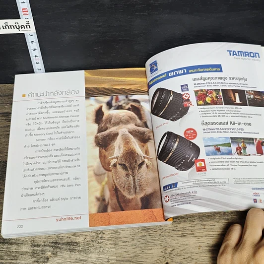 หนังสือ ราชาสถาน วิมานอินเดีย รูปที่ 8