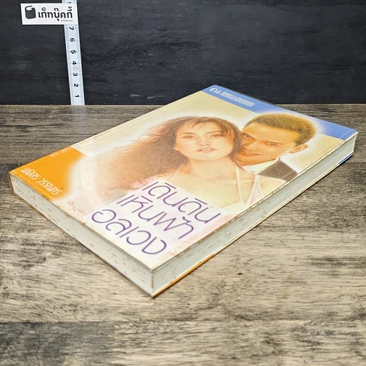 หนังสือ เดินดินเหินฟ้าอลเวง รูปที่ 3