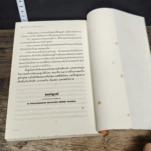 หนังสือ เดินดินเหินฟ้าอลเวง รูปที่ 8