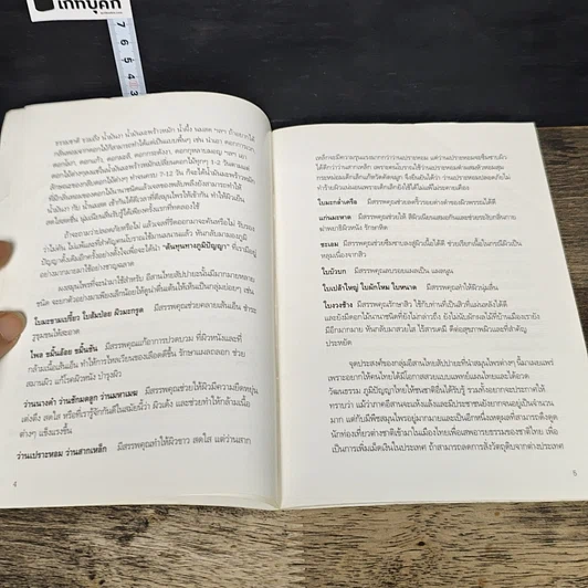 หนังสือ อีสานไทยสัปปายะ เจลสมุนไพรธรรมชาติ รูปที่ 7