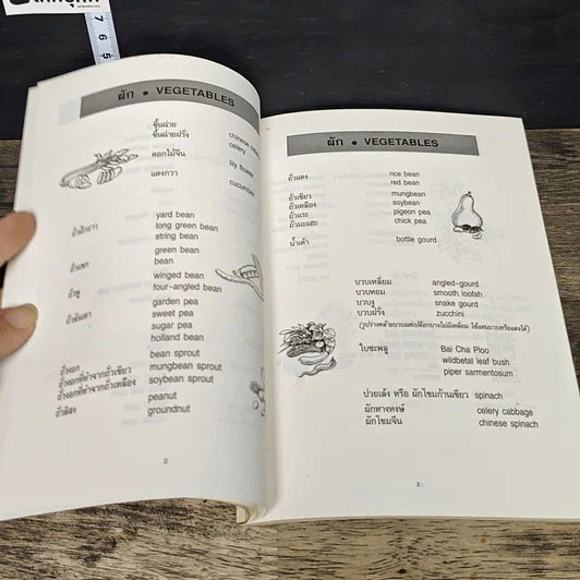 หนังสือ คำศัพท์คหกรรมศาสตร์ รูปที่ 8