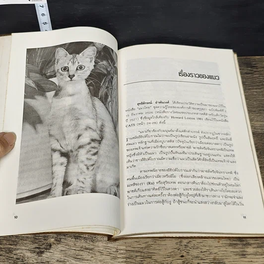หนังสือ การเลี้ยงแมว รูปที่ 8