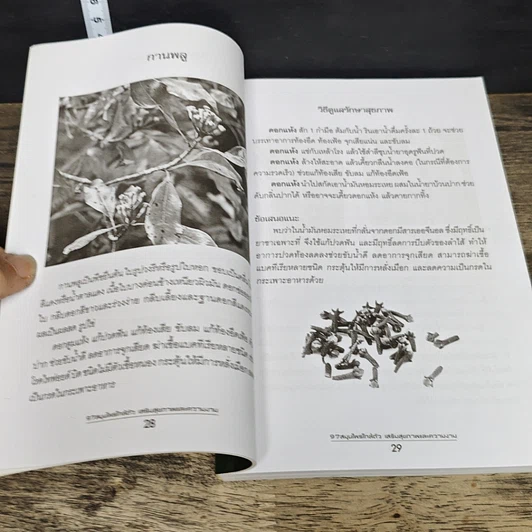 หนังสือ 97 สมุนไพรใกล้ตัว เสริมสุขภาพและความงาม รูปที่ 8