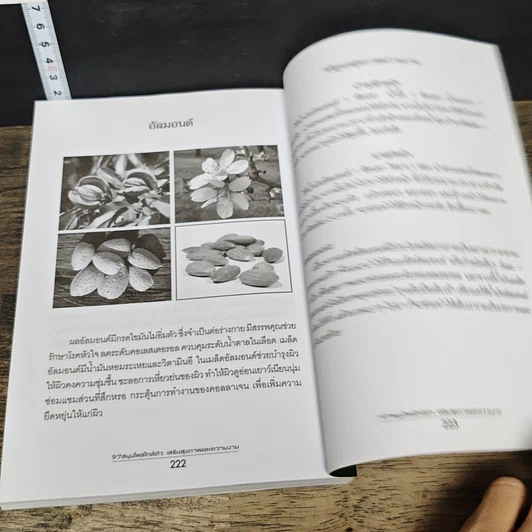 หนังสือ 97 สมุนไพรใกล้ตัว เสริมสุขภาพและความงาม รูปที่ 9