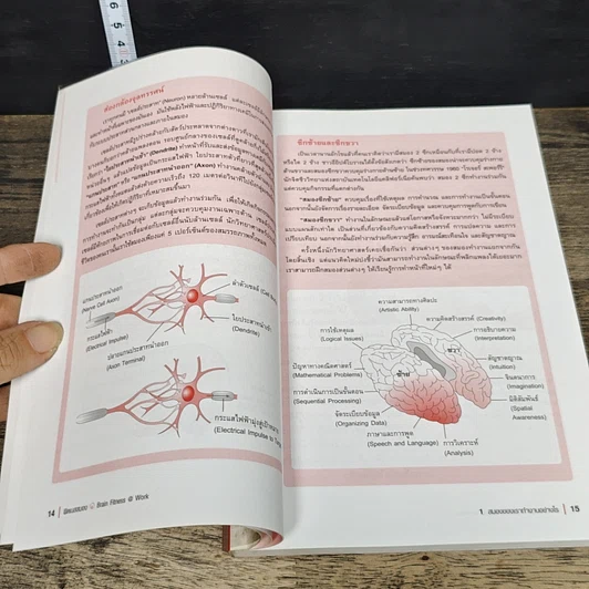 หนังสือ Brain Fitness @ Work ฟิตเนสสมอง รูปที่ 8