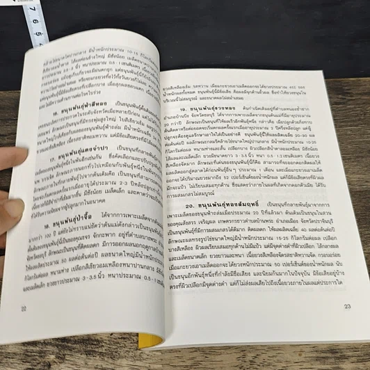 หนังสือ ความรู้เกี่ยวกับการปลูกขนุน รูปที่ 8