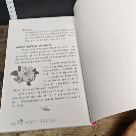 หนังสือ สวยด้วยสูตรลับ สมุนไพรสด Beauty Tip by Herbs รูปที่ 9