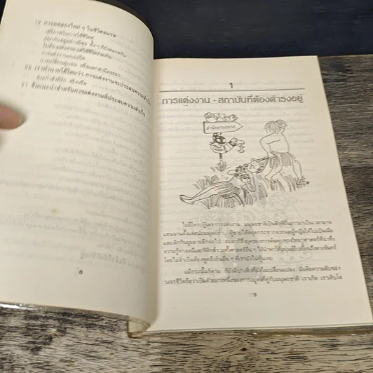หนังสือ แต่งงานแบบนี้ไม่มีปัญหา รูปที่ 8