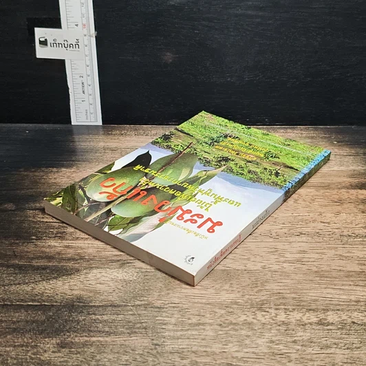 หนังสือ มะม่วงแก้ว รูปที่ 5