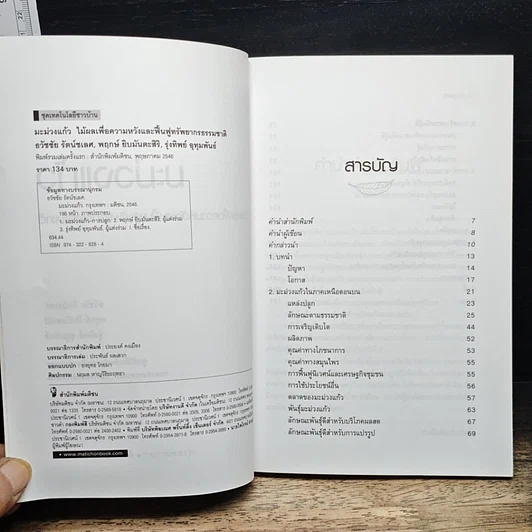 หนังสือ มะม่วงแก้ว รูปที่ 6