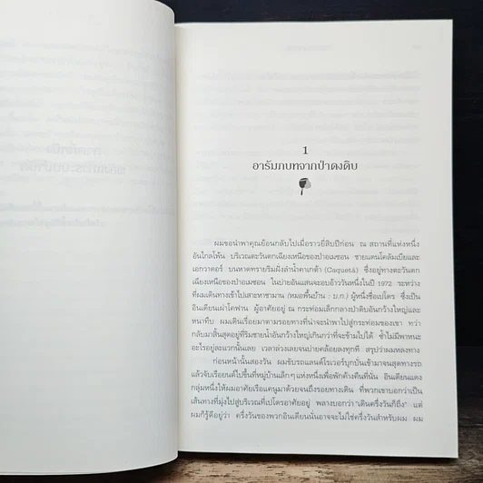 หนังสือ พลังบำบัด: ร่างกายคุณรักษาตนเองได้ รูปที่ 9