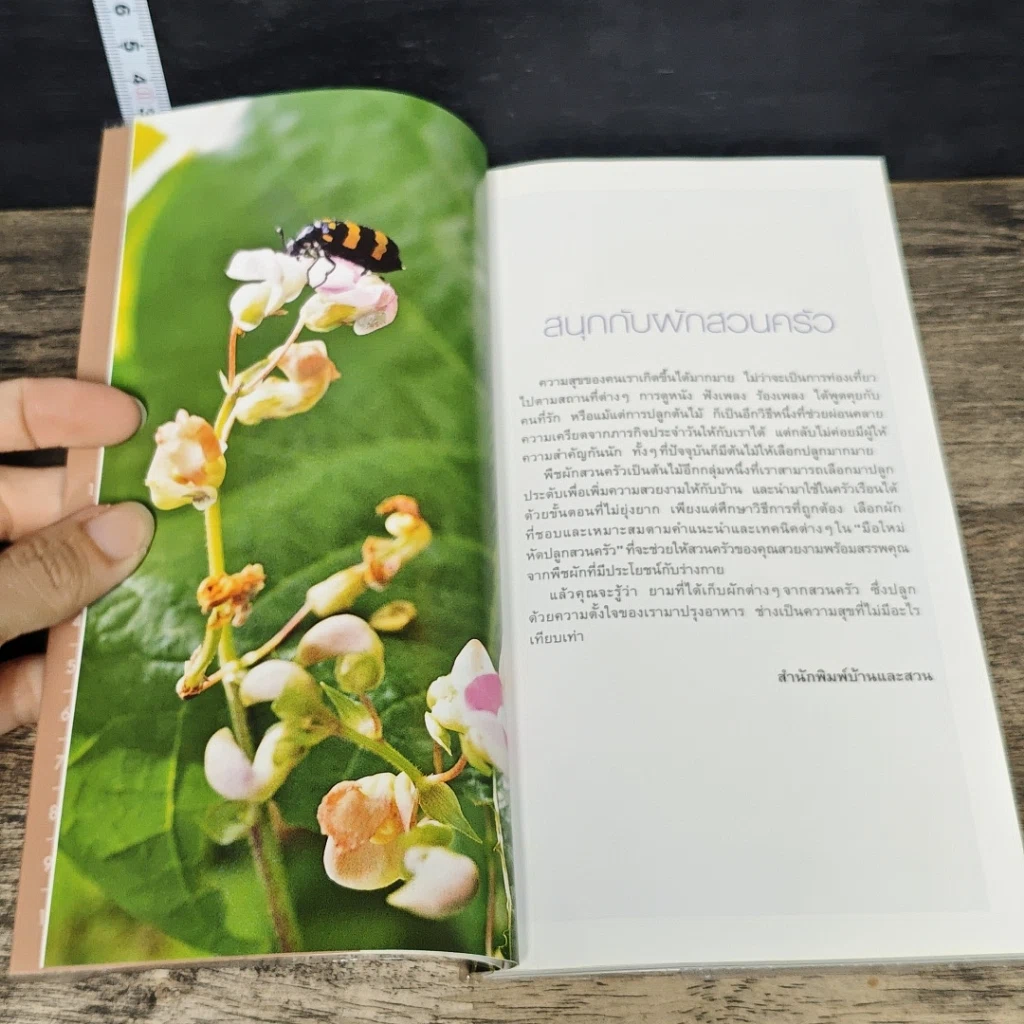 หนังสือ มือใหม่หัดปลูกสวนครัว รูปที่ 7