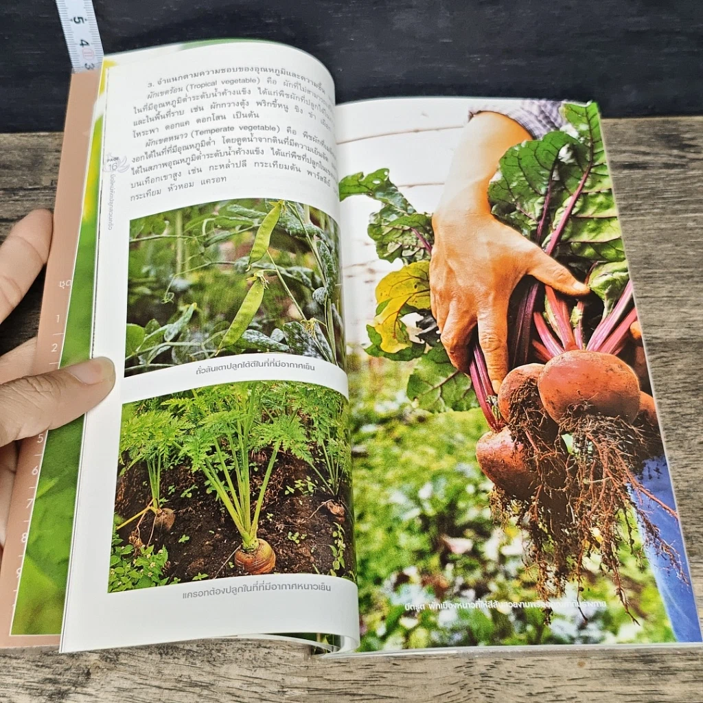หนังสือ มือใหม่หัดปลูกสวนครัว รูปที่ 8