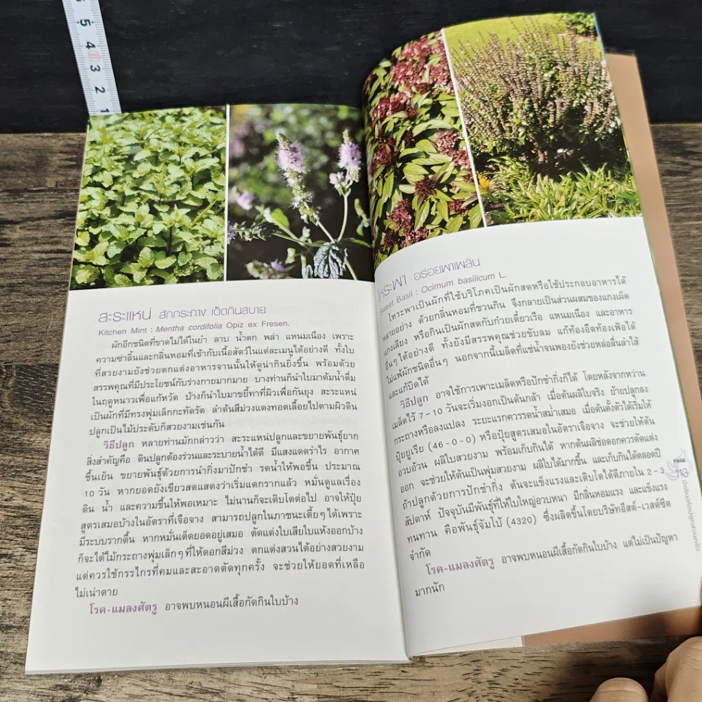 หนังสือ มือใหม่หัดปลูกสวนครัว รูปที่ 9