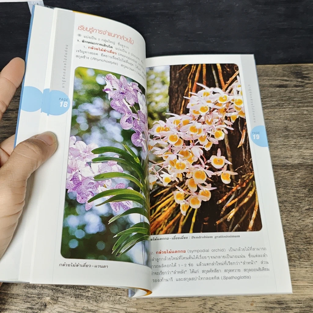 หนังสือ มือใหม่หัดปลูกกล้วยไม้ รูปที่ 8
