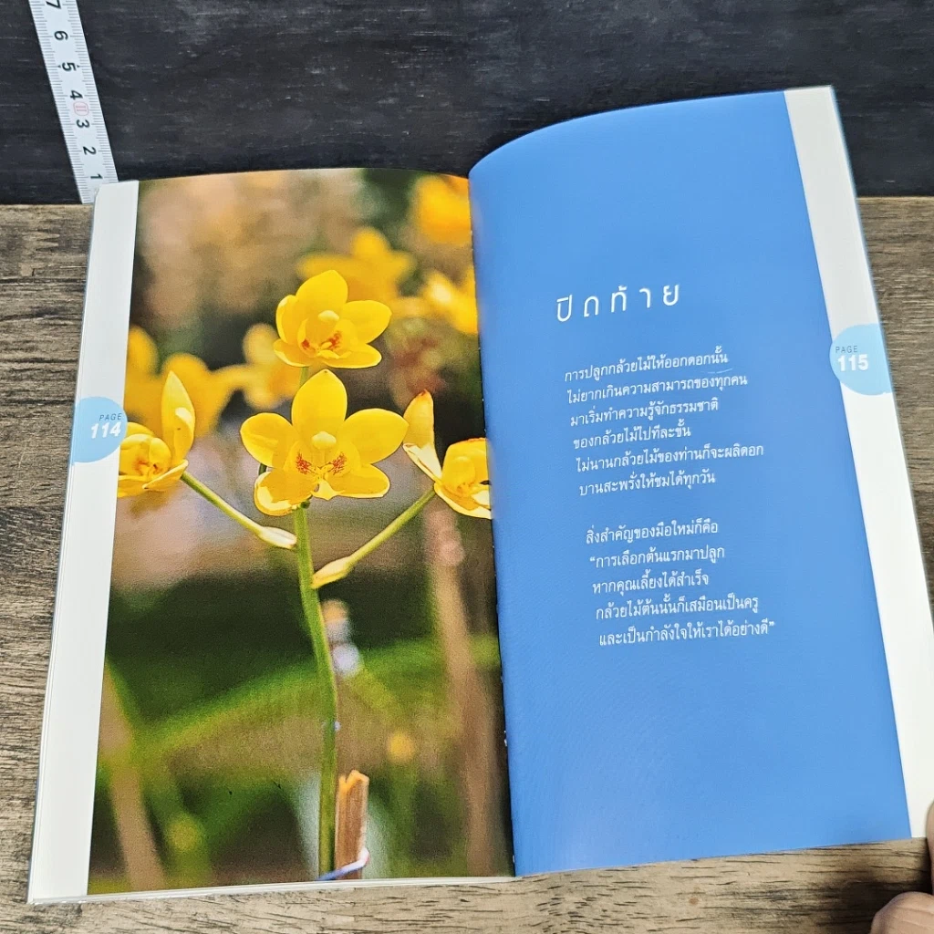 หนังสือ มือใหม่หัดปลูกกล้วยไม้ รูปที่ 9
