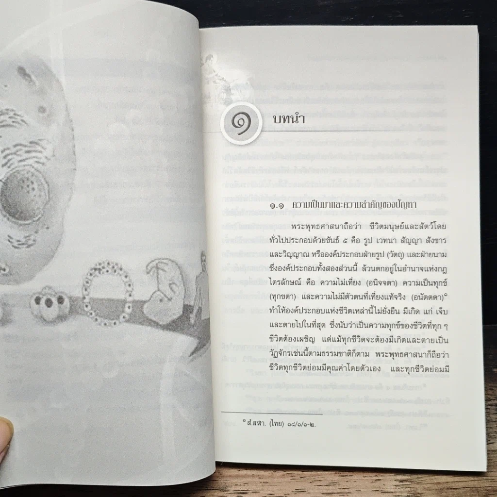 หนังสือ การศึกษาวิเคราะห์ปาณาติบาตในเซลล์มนุษย์และตัวอ่อนมนุษย์ รูปที่ 10