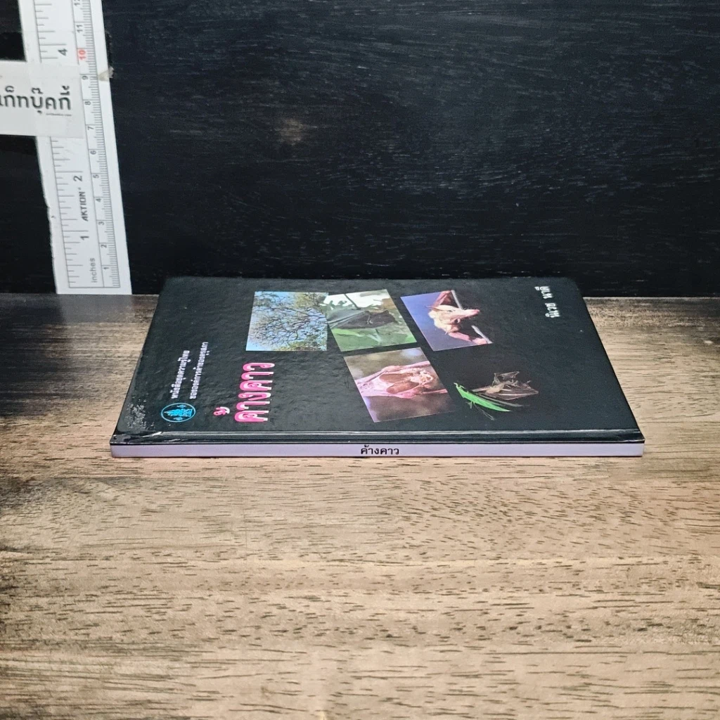 หนังสือ ค้างคาว รูปที่ 3