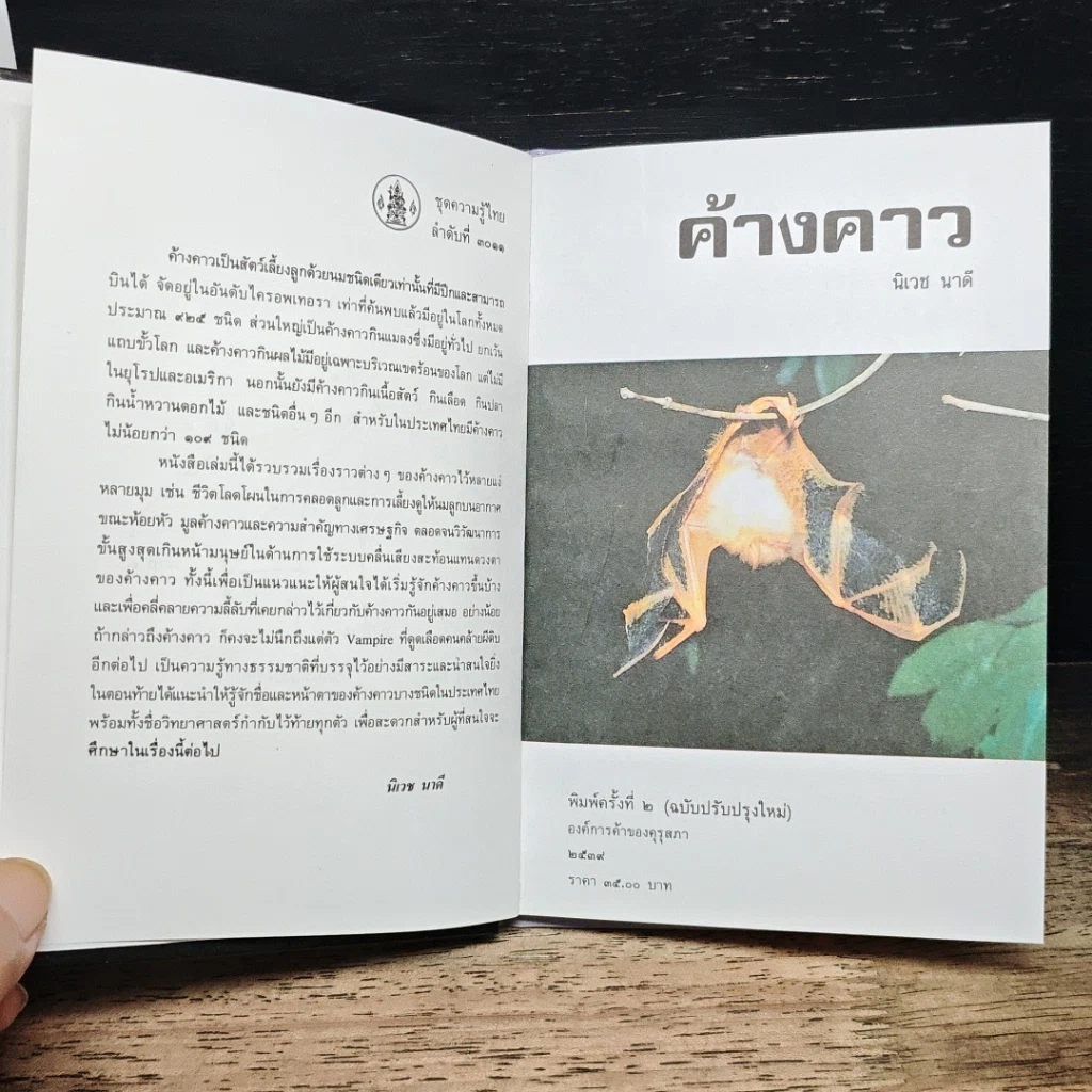 หนังสือ ค้างคาว รูปที่ 7