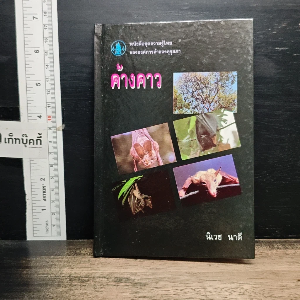 หนังสือ ค้างคาว รูปที่ 1