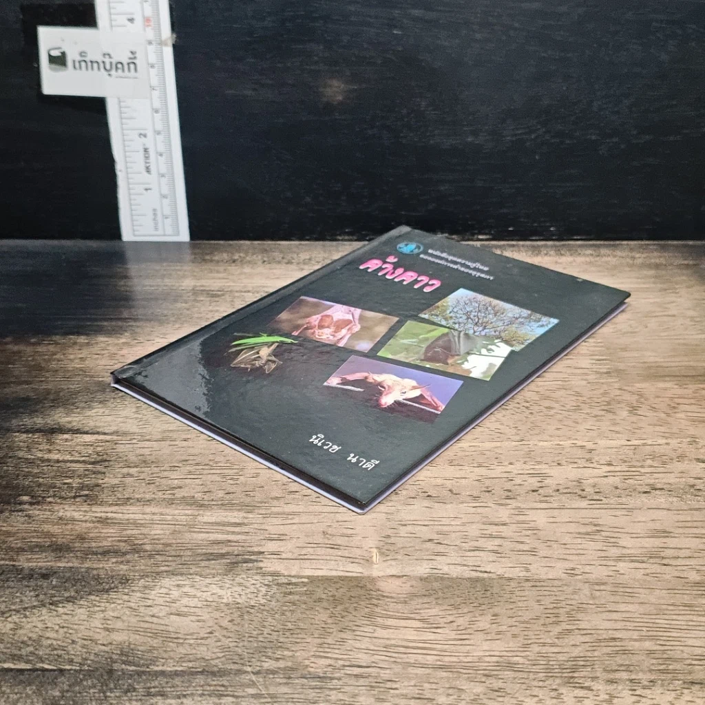 หนังสือ ค้างคาว รูปที่ 4