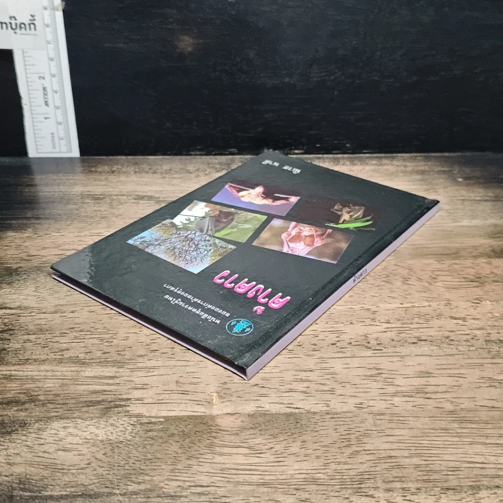 หนังสือ ค้างคาว รูปที่ 5