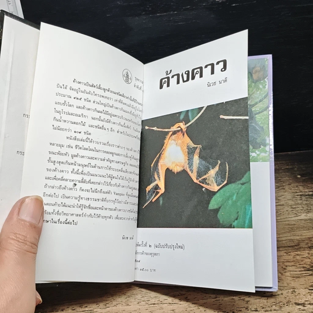หนังสือ ค้างคาว รูปที่ 7