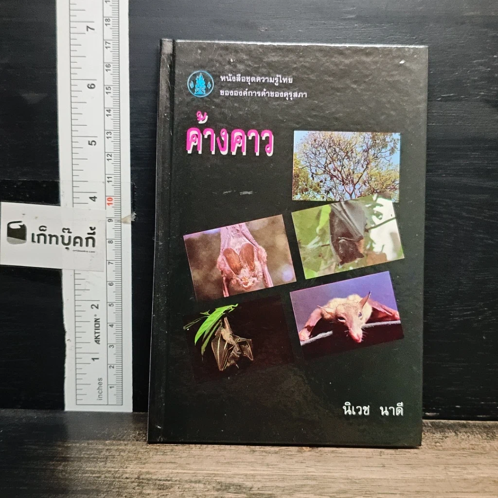 หนังสือ ค้างคาว รูปที่ 1