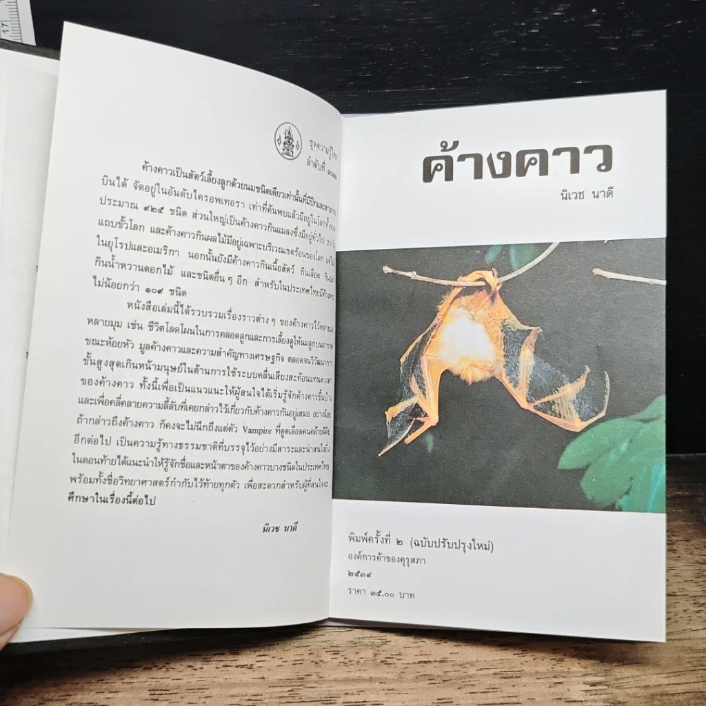 หนังสือ ค้างคาว รูปที่ 7